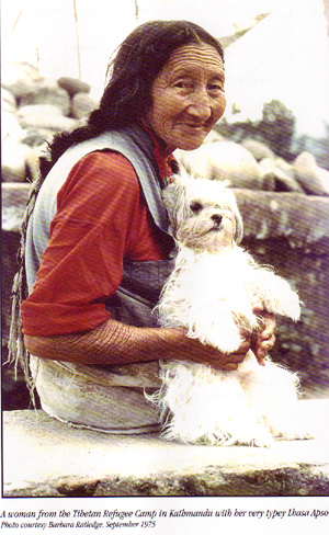 Tibetansk kvinna med hund